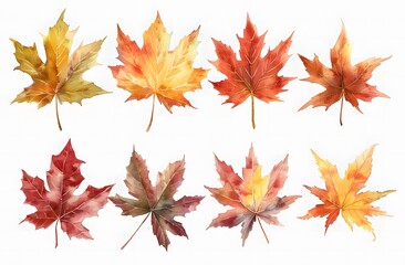 Fototapeta premium Beautiful Autumn Leaves in Watercolor Art