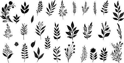 hand drawn floral elements. Vector set botanical illustration. minimalist plant symbols.  - obrazy, fototapety, plakaty