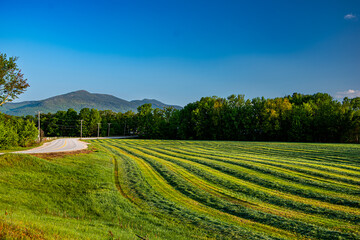 rows of freshly cut hay with mountain background sky and field saturated by early morning sun