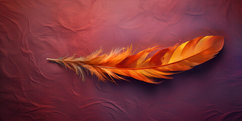 feather on brown background 