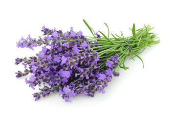 Lavender Bouquet on a White Background.