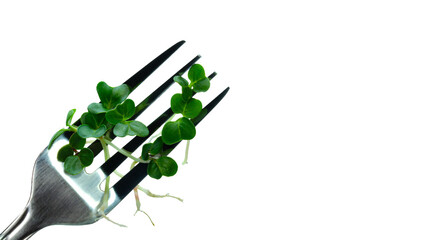 Micro greens radish on fork isolated on white Healthy lifestyle eating fresh garden produce organically grown Symbol of health vitamins from nature Microgreens vegan vegetarian diet concept Copy space
