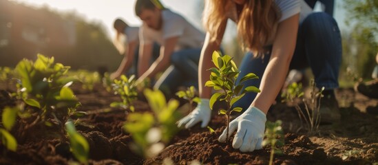 Group of individuals planting young trees in rich soil, captured in warm sunlight, indicating teamwork in gardening or reforestation, suitable for Earth Day promotions.
