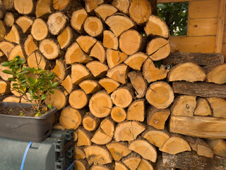 Stock de bois de chauffage - 745254018