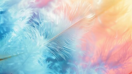  white fluffy feather against a vibrant patchwork of pastel rainbow colors