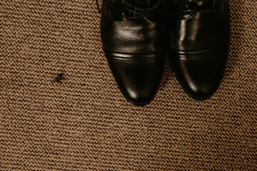 Black boots sit on a brown textured floor. fly creeps crawls near shoes