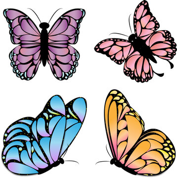 hand drawn vector butterfly template collection