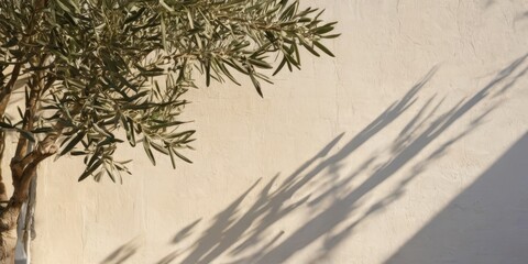 Mediterranean concept. Shadows of olive tree leaves, branches over white wall. Summer background, sunlight overlay, empty copy space.