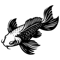Obraz premium Koi Fish Sketch Drawing.