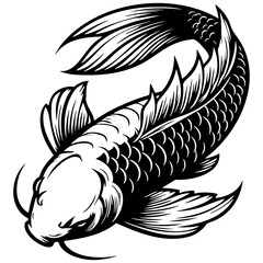 Koi Fish Sketch Drawing.