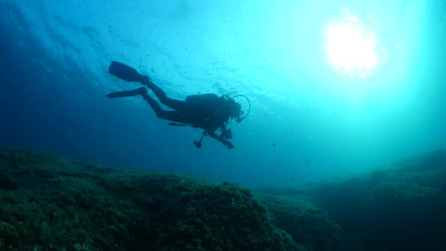 silhouette scuba diver sun beam shine rays underwater  diver relaxing blue ocean scenery of person