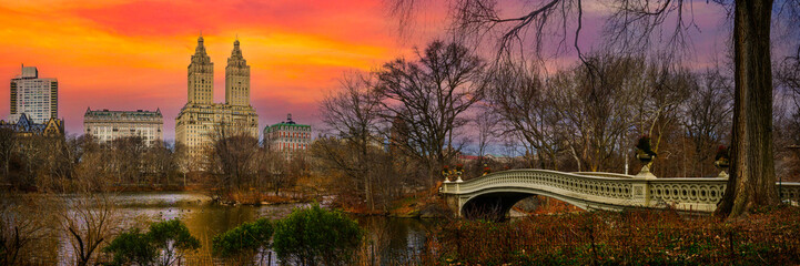 Central Park Winter landscape with the Bow Bridge and bare willow trees in Manhattan, New York...