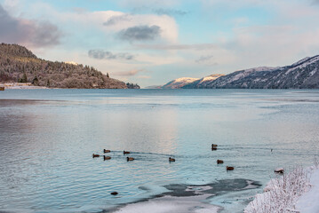 Loch Ness on an icy winter day, with ducks swimming in the foreground and mountains in the distance