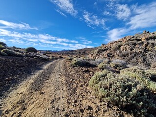 Rugged landscape of Teide volcano national park, Tenerife, Canary Islands, Spain - volcanic rock, mountain, deserted