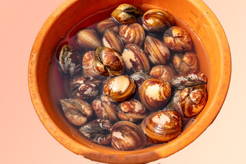 Oysters - Pearl made by marine Mussel in Orissa, India