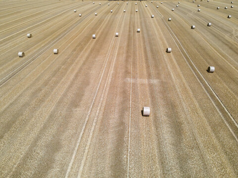Aerial view of hay bales in a harvested wheat field, Chauray, Deux-Sevres, Nouvelle-Aquitaine, France