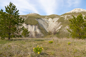 Chalk hills in Ulyanovsk region, Russia. Yellow flowers in the foreground - 745288830