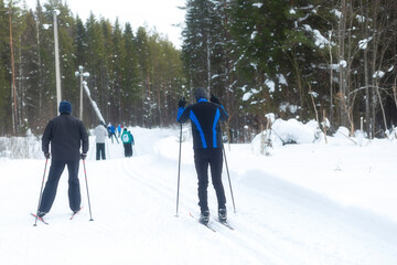 People ski in winter on a ski track through a winter forest.Cross Country skiing.