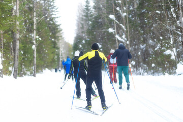 People ski in winter on a ski track through a winter forest.Cross Country skiing.