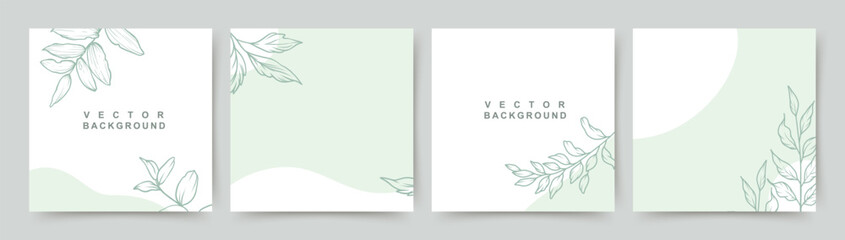 Neutral minimal background in green colors with floral elements. Vector for social media post, invitation, greeting card, packaging, branding design, banner, presentation, poster, advertising