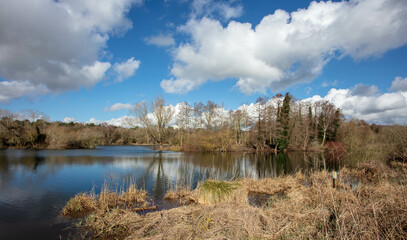 Fototapeta na wymiar The Lake at West Stow Country park Suffolk