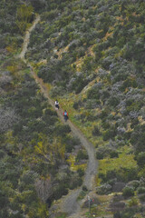 senda  Genaro de Patones de arriba.