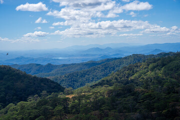 Ta Nang - Phan Dung route with milestone between 3 provinces through grass hills and forests in...
