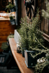 Blumenkranz Workshop für einen Junggesellenabschied