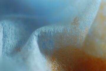 Drirty wet wipe, close-up photography