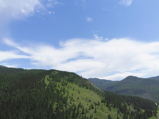 Fototapeta na wymiar Aerial view of a green mountain landscape sprawling beautiful coniferous forest. 