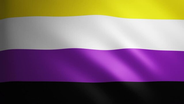 Non-binary Pride flag with fabric texture that moves in the wind. Smooth movement of the waving flag in a perfect loop. Sexual diversity and gender identity, multicolored, black. 4k 60 fps animation.