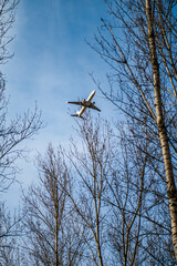 An airplane that is going to land and flies over the trees in the spring through the blue sky
