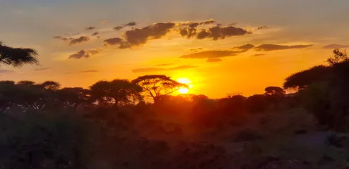 Wallpaper murals Kilimanjaro Golden sunset over the acacia woods and grass plains of the scenic Amboseli National park, Kenya
