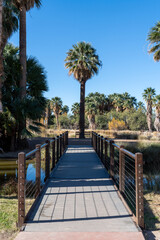 Agua Caliente Regional Park in Tucson Arizona on a sunny day