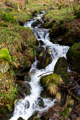 Stream in the Vosges with luminous waterfall. The intimacy of a small mountain stream in the Vosges mountains of Alsace. France