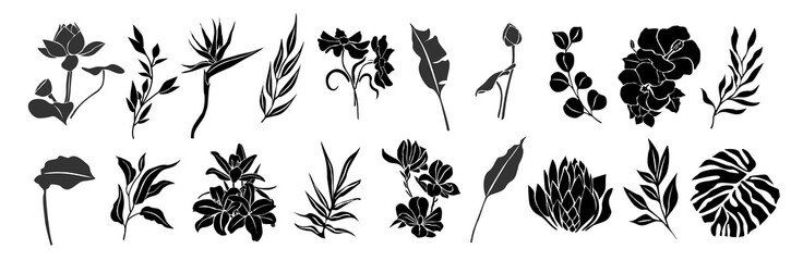 Set of black silhouettes of tropical leaves, flowers. Hand drawn elegant exotic eucalyptus, monstera leaves, lotus, birth of paradise, magnolia, hibiscus flowers. Trendy botanical vector isolated. - obrazy, fototapety, plakaty