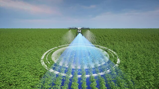 Agriculture drone using lidar scanning to spray fertilizer on the tomato fields, Innovation of smart farming concept 