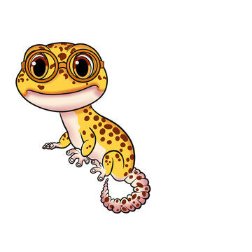 Gecko lovers logo cartoon