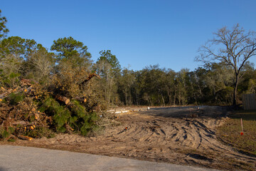 Native forest habitat destroyed for new housing construction in north central Florida © Tsado