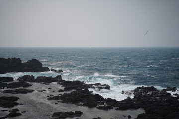 Blue sea and black rock.
The basalt and sea are beautiful.
