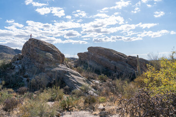 Unidentifiable Man stands on top of Javelina Rocks in Saguaro National Park - obrazy, fototapety, plakaty