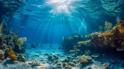 Foto op Canvas Underwater Coral reef and bright ray sun. Generative AI © itchaznong