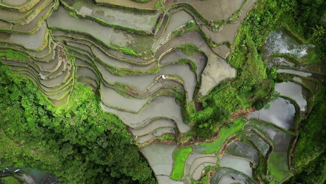 Aerial top view of picturesque Batad Rice Terraces in Ifugao Province, Luzon Island, Philippines, 4k