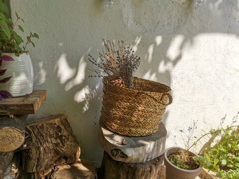 A cozy corner in a small summer courtyard. Flowers in ceramic pots. Dried flowers in a wicker basket. Overlaying light and shadows on the wall of a house