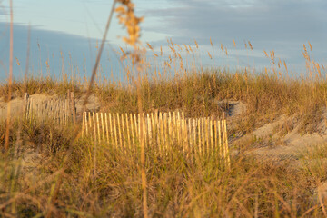 Beach fences setup for sand dune creation at the beach to preserve nature and withstand erosion for the environment.