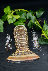 Surf and Turf Langustenschwänze mit Filetsteak
