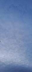 sky and clouds