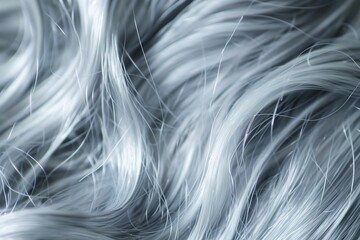 close up of healthy blue silver hair background