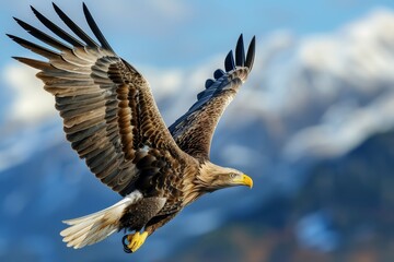 Obraz premium Majestic Eagle in Flight with Mountain Backdrop