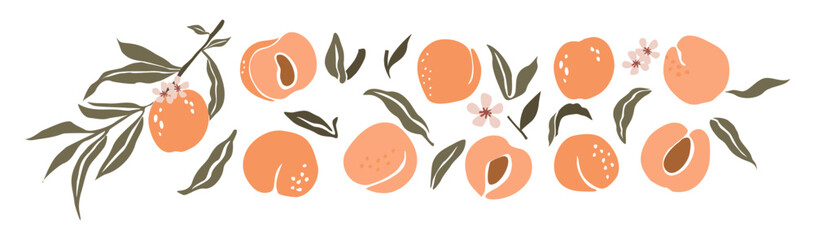 Hand drawn abstract peach set. Collection of whole and cut peaches, branches, flowers and leaves vector illustrations isolated on transparent background. Fresh juicy fruits clip art.